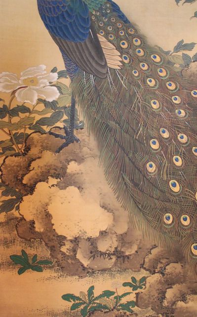 忘れられた江戸人物誌551 谷文晁筆 大幅孔雀図双幅 太巻2 : 江戸時代を