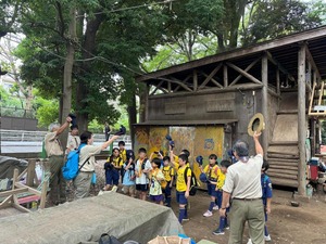 ����������� (5)