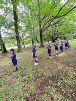 ����������� (6)