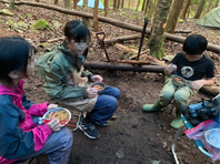 ����������� (20)