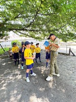 ����������� (4)