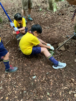 ����������� (6)