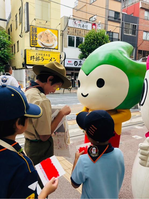 ����������� (7)