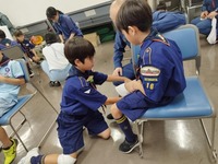 ����������� (15)