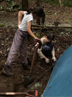 ����������� (24)