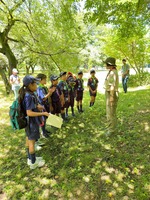 ����������� (7)