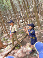 ����������� 22