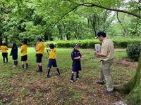 ����������� (13)