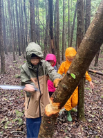 ����������� (2)