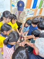 ����������� (2)