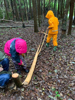 ����������� (18)