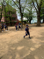 ����������� (1)