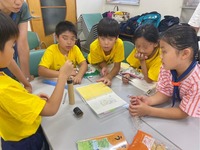 ����������� (7)