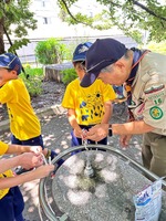 ����������� (3)