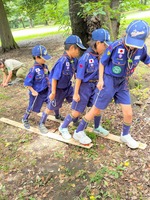 ����������� (5)