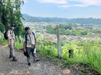 ����������� (1)