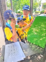 ����������� (1)