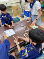 ����������� (6)