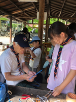 ����������� (1)