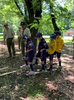 ����������� (12)