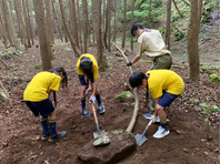 ����������� (7)