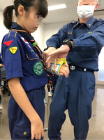 ����������� (13)