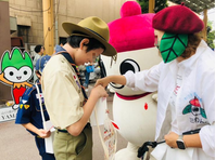 �����������