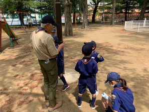 ����������� (2)