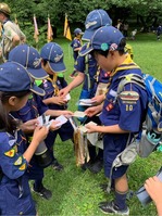 ����������� (15)