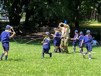 ����������� (10)