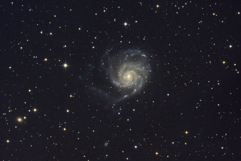 M101-000-2
