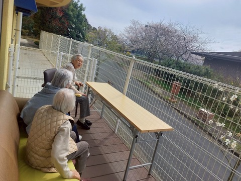 LINE_ALBUM_花見に団子_250405_25