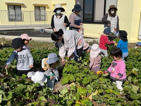 img_LINE_ALBUM_20211026 芋掘り_211028_13