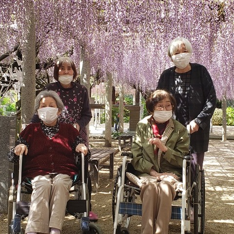 img_LINE_ALBUM_20220422吉祥寺 藤の花見学_220425_18
