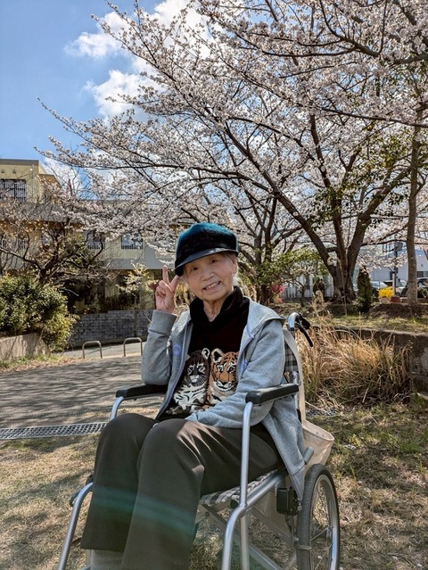 LINE_ALBUM_🌸お花見🌸_250403_2
