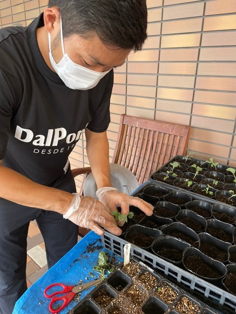 img_LINE_ALBUM_2022726   ブロッコリー苗植え🥦_220726_4
