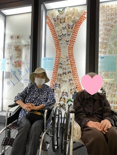 img_LINE_ALBUM_202278 いのちのたび博物館_220708_22