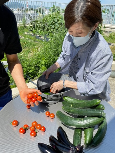 img_2021621   喫茶去庵🍅野菜収穫🥒_210622_4