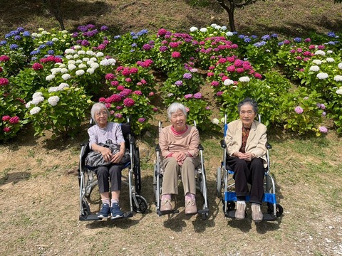 LINE_ALBUM_紫陽花見学その3_240622_1