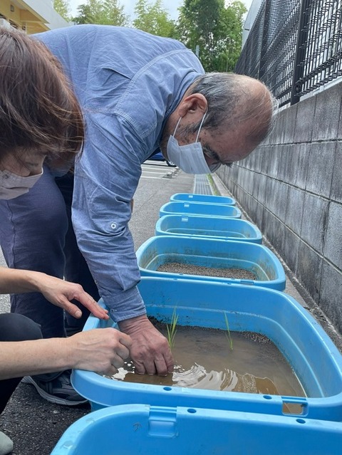 img_LINE_ALBUM_2022616  田植え❗️_220620_24
