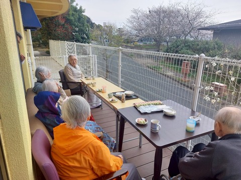LINE_ALBUM_花見に団子_250405_30