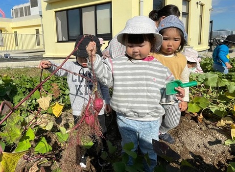 img_LINE_ALBUM_20211026 芋掘り_211028_15