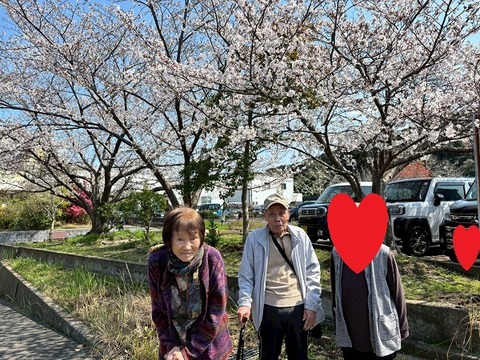 LINE_ALBUM_4月お花見_260405_6