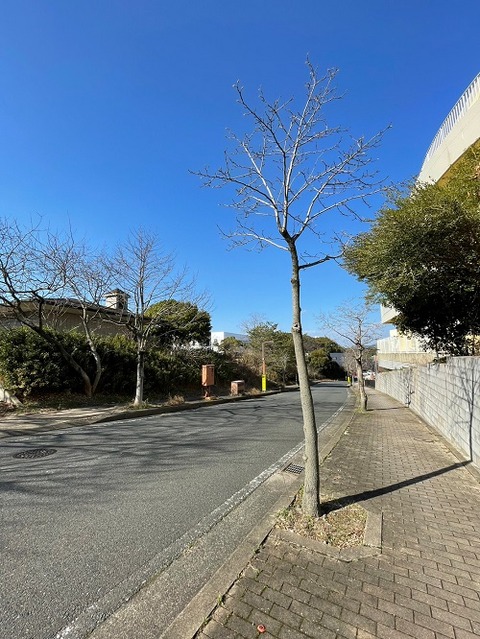 img_LINE_ALBUM_2023220  春の訪れ_230220_0