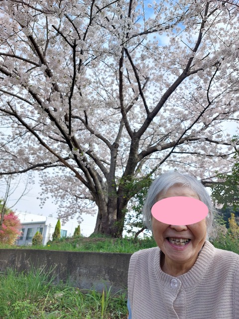 ブログ花見1
