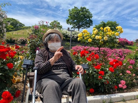 img_LINE_ALBUM_バラ園_220517_13_0