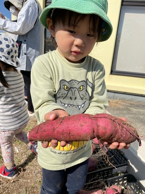 img_LINE_ALBUM_20211026 芋掘り_211028_43