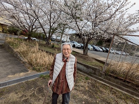 LINE_ALBUM_🌸お花見🌸_250403_8