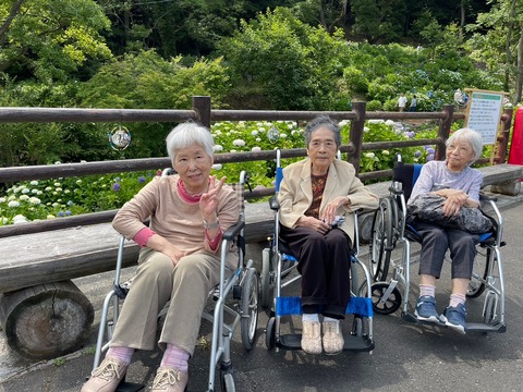 LINE_ALBUM_紫陽花見学その3_240622_7