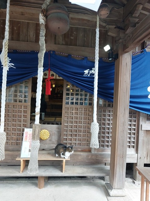 LINE_ALBUM_初詣_250109_19